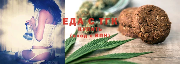 хмурый Ельня