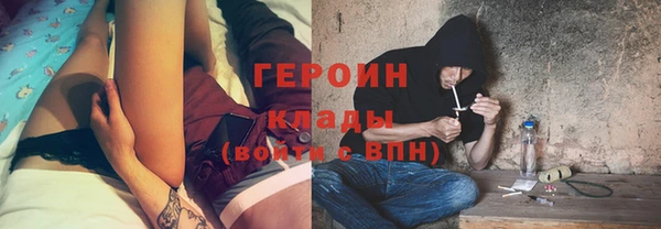хмурый Ельня