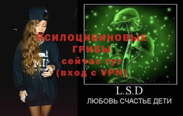 2c-b Елабуга
