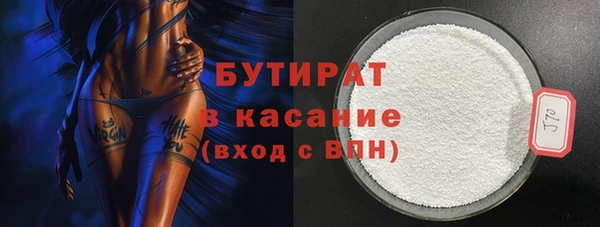 хмурый Ельня