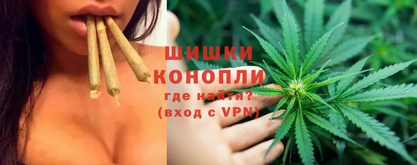 тгк Елизово