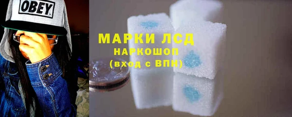 хмурый Ельня