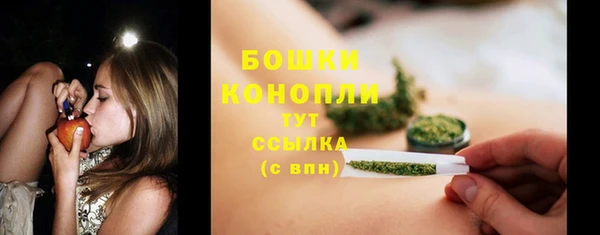 тгк Елизово