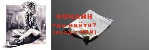 тгк Елизово