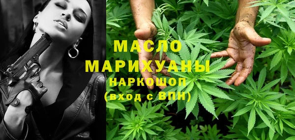 хмурый Ельня