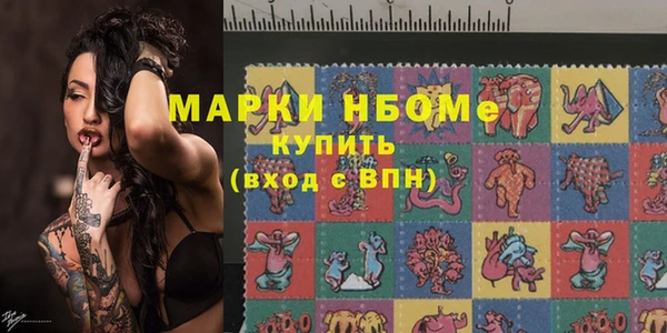 хмурый Ельня