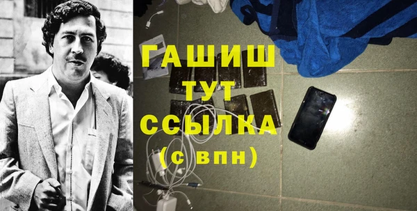 хмурый Ельня
