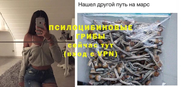 2c-b Елабуга