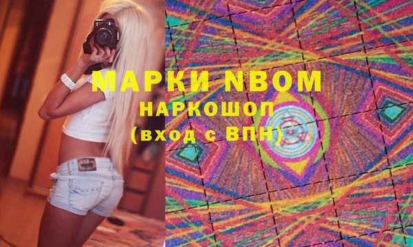 хмурый Ельня