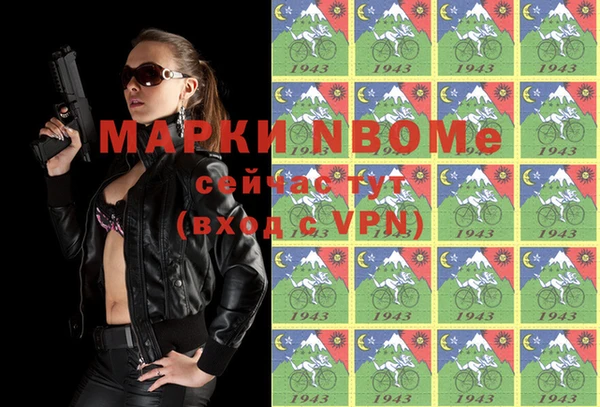 хмурый Ельня