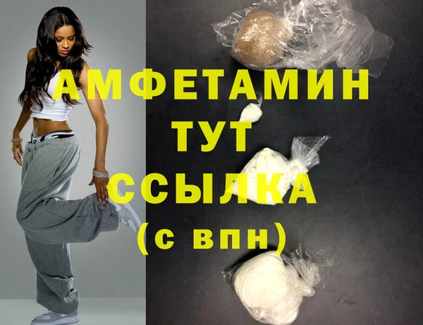хмурый Ельня