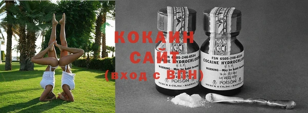 хмурый Ельня