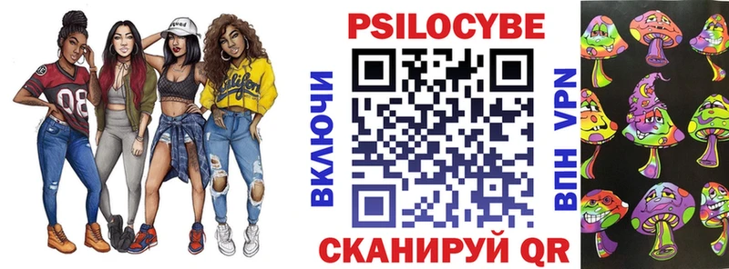 Купить закладки  Козельск  Галлюциногенные грибы Psilocybe 